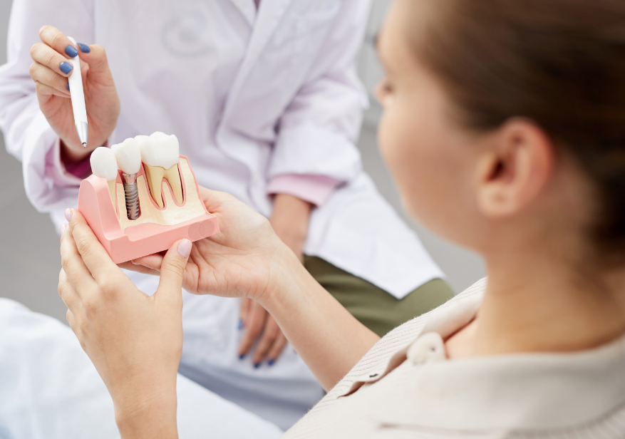 Dentist holding dental implant mold